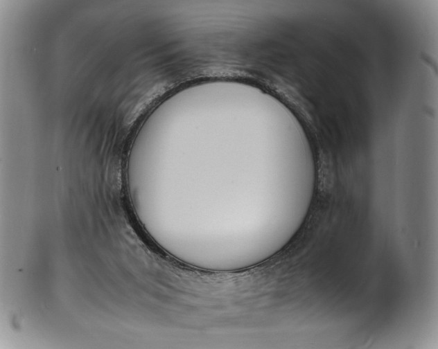 X0000100980015200807081254