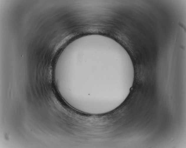 X0000100980016200807081254