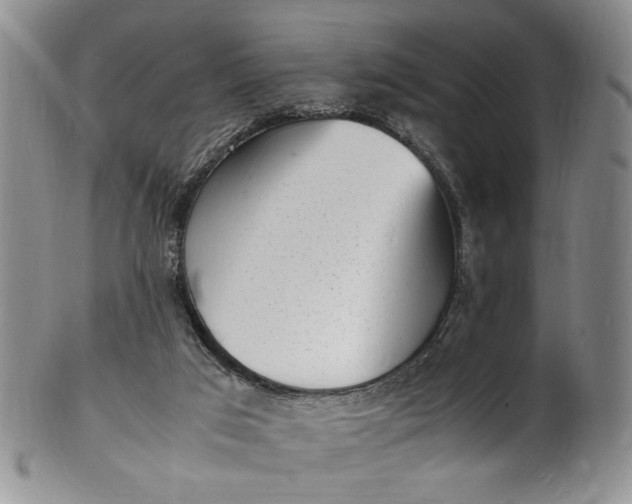 X0000100980017200807081254