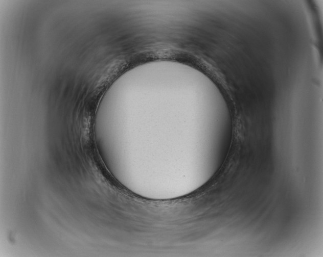 X0000100980018200807081254