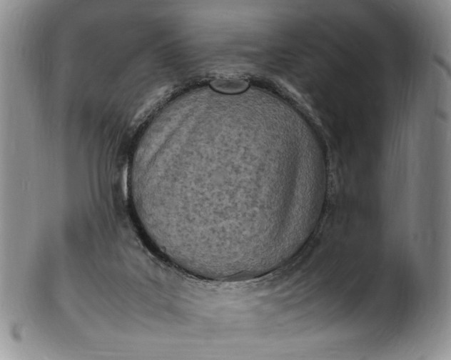 X0000100980019200807081254