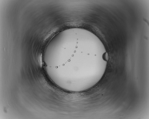 X0000100980020200807081254