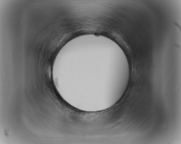 X0000100980021200807081254