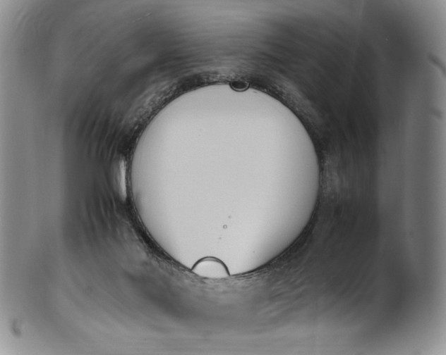 X0000100980022200807081254