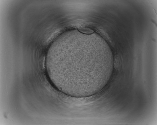 X0000100980023200807081254