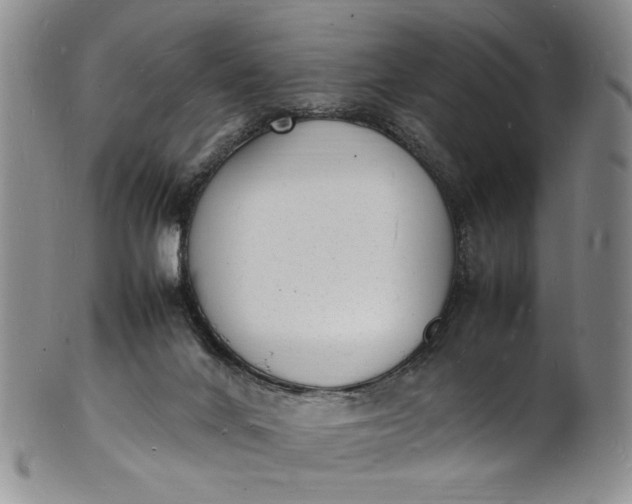 X0000100980024200807081254