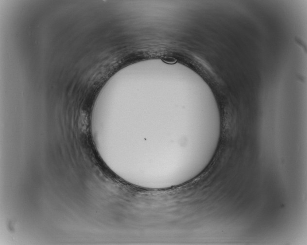 X0000100980025200807081254