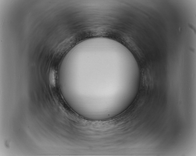 X0000100980026200807081254