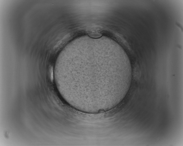 X0000100980027200807081254