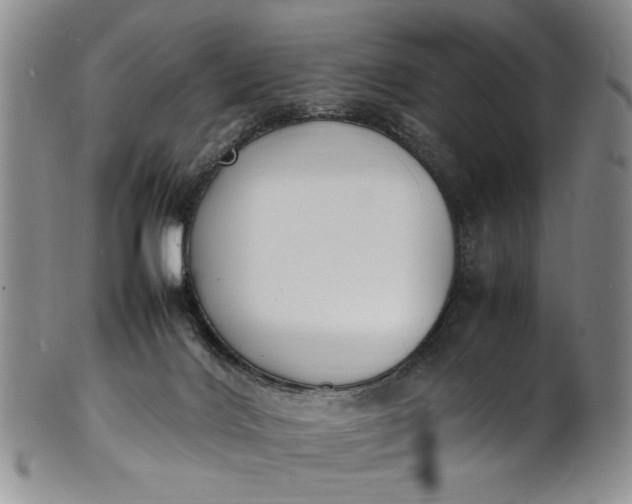 X0000100980028200807081254