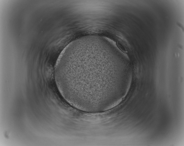 X0000100980029200807081254