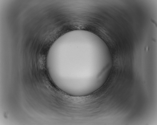 X0000100980030200807081254