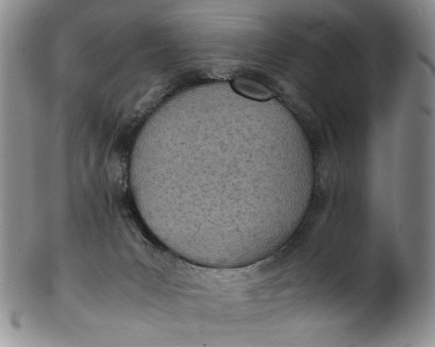 X0000100980031200807081254