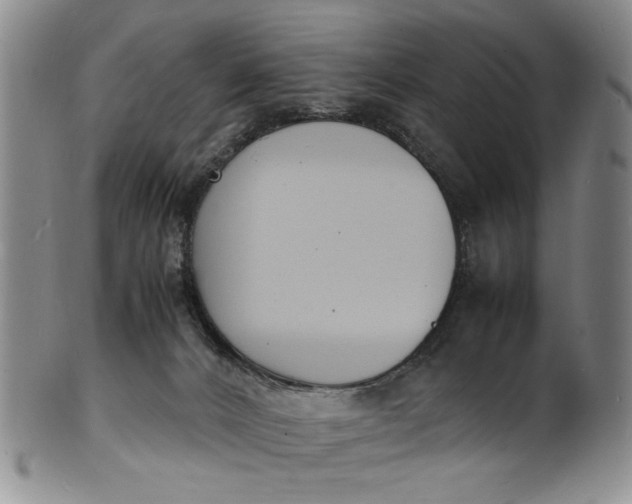 X0000100980032200807081254