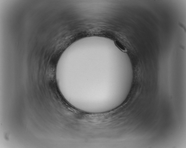 X0000100980033200807081254