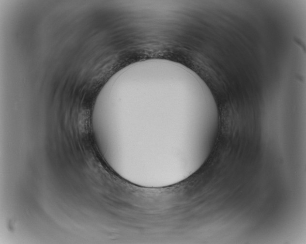 X0000100980034200807081254