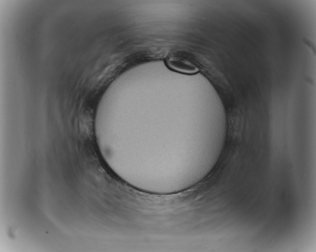 X0000100980035200807081254