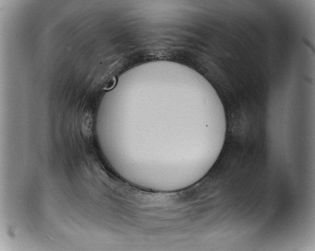 X0000100980036200807081254