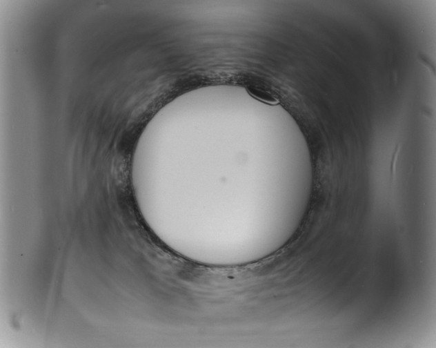 X0000100980037200807081254