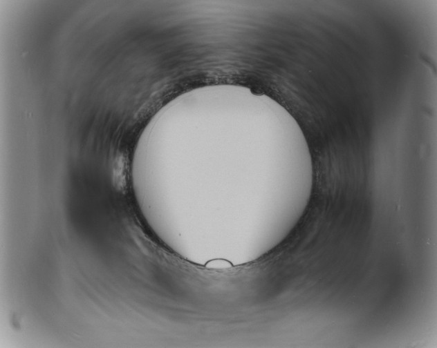 X0000100980038200807081254