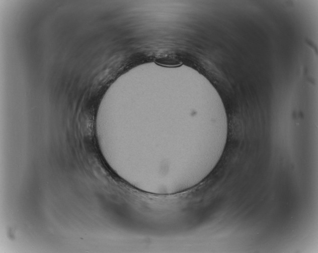 X0000100980039200807081254