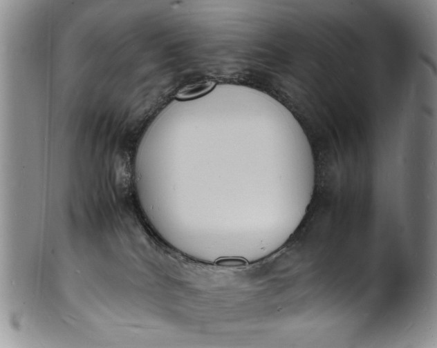 X0000100980040200807081254