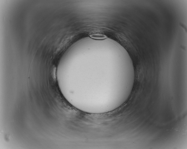 X0000100980041200807081254