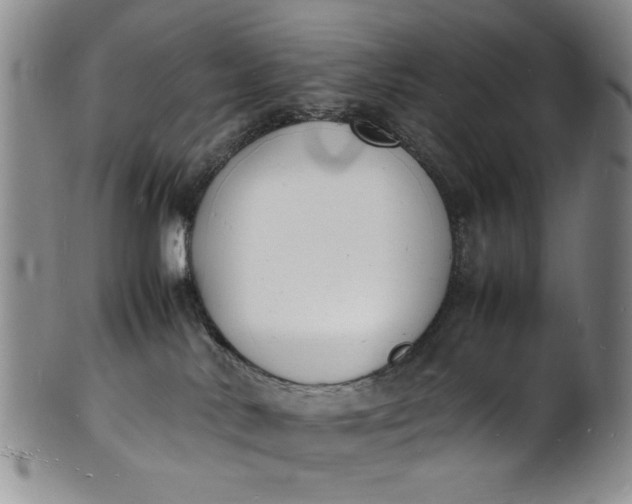 X0000100980042200807081254