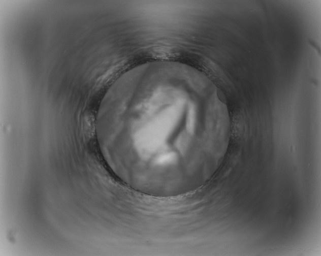 X0000100980043200807081254