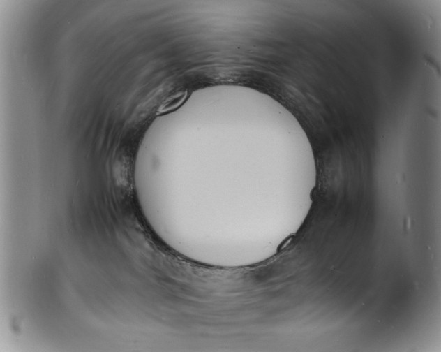 X0000100980044200807081254