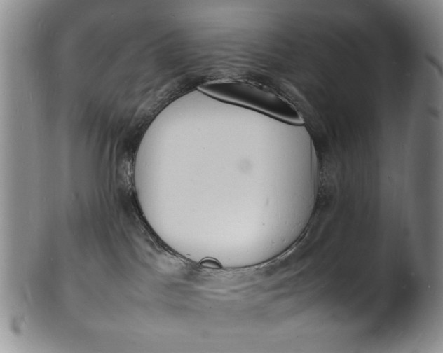 X0000100980045200807081254