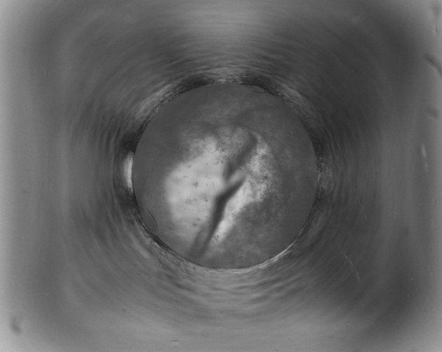 X0000100980047200807081254