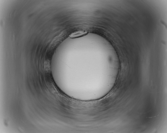 X0000100980048200807081254