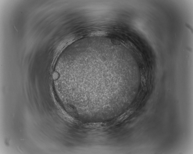 X0000100980049200807081253