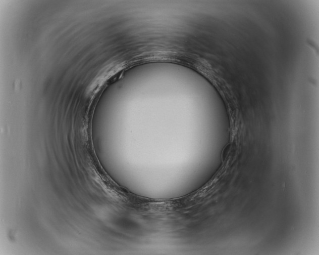 X0000100980050200807081253