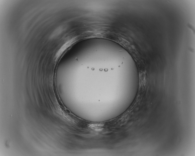 X0000100980051200807081253