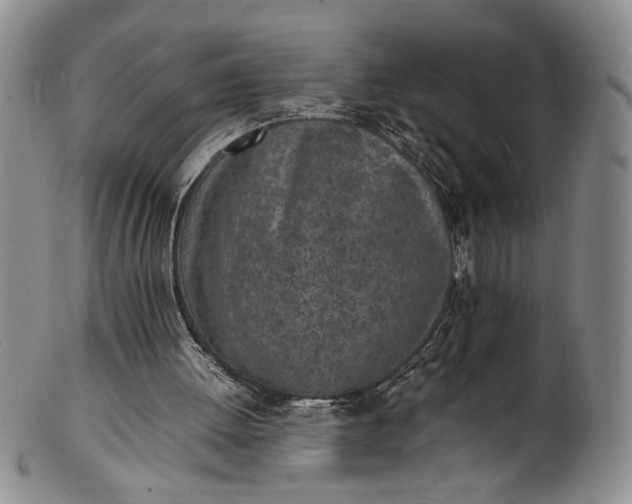 X0000100980052200807081253