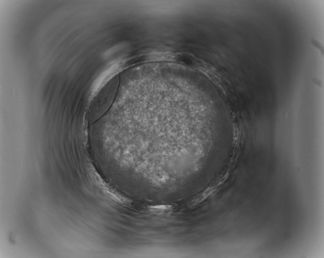 X0000100980053200807081253