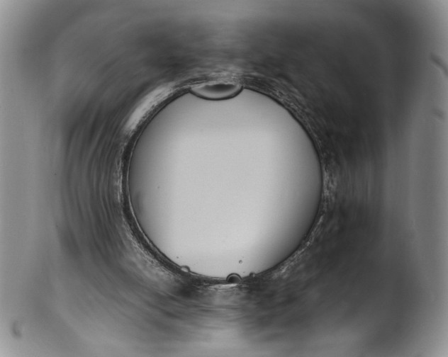 X0000100980054200807081253