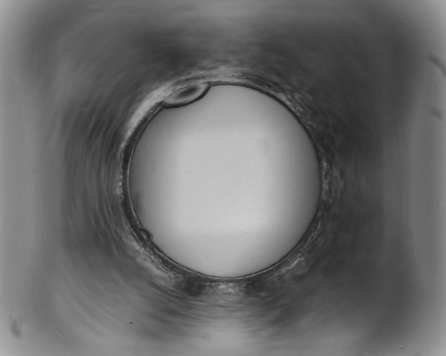 X0000100980056200807081253