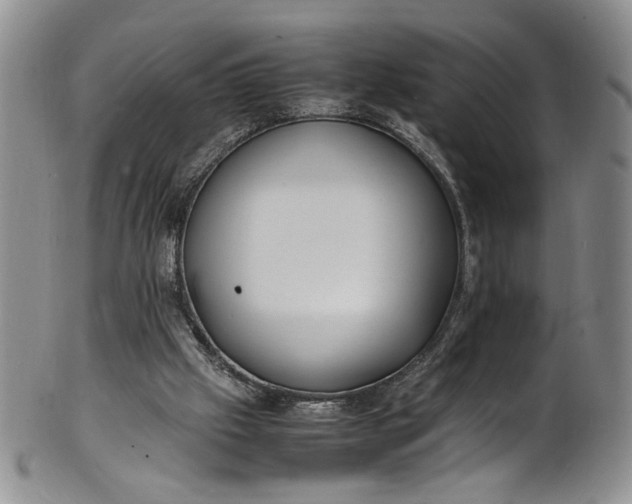 X0000100980057200807081253