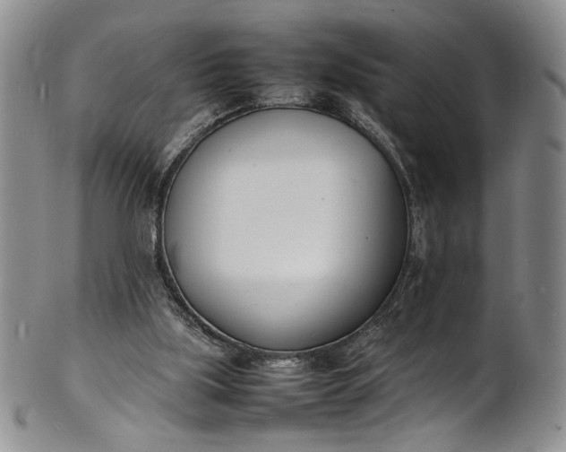 X0000100980059200807081253