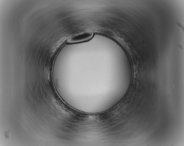 X0000100980060200807081253