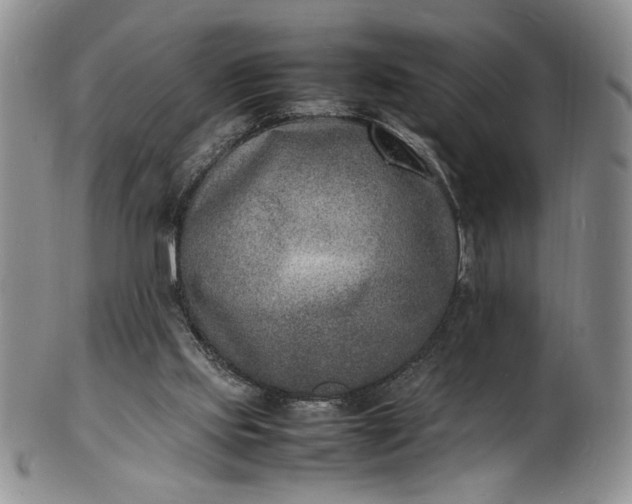 X0000100980061200807081253