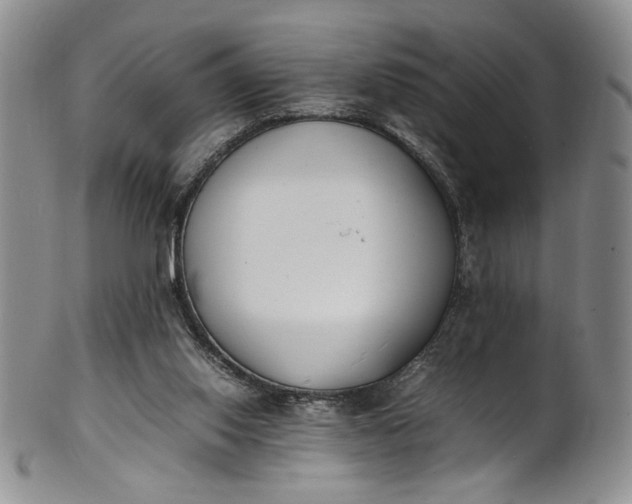 X0000100980062200807081254