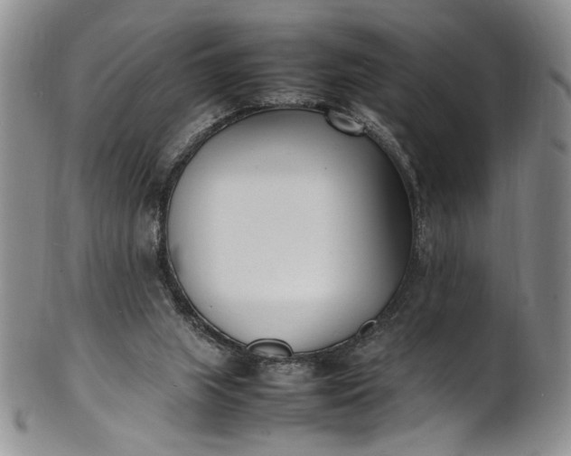 X0000100980063200807081254