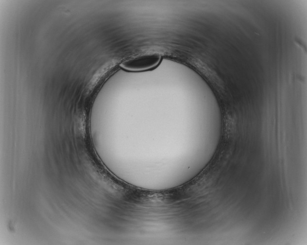 X0000100980064200807081254