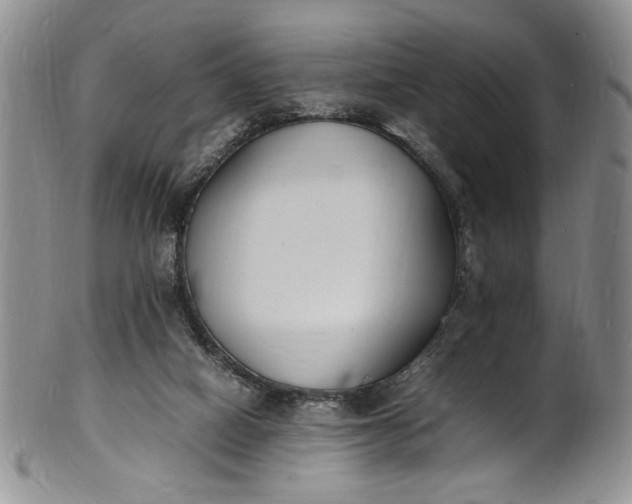 X0000100980066200807081254