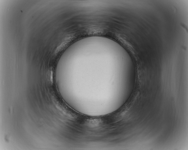 X0000100980067200807081254