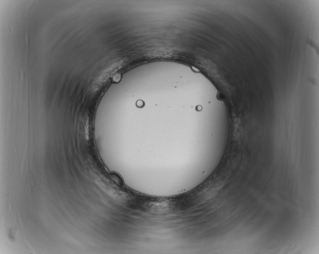 X0000100980068200807081254